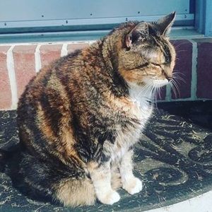 Meet your Posher, Zee